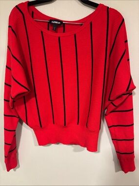 Express Women's Red Black-Striped Sweater